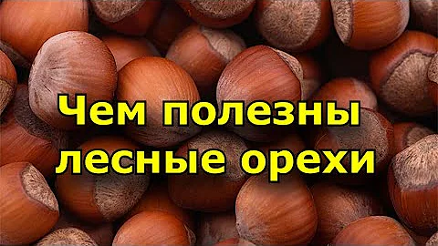 Чем полезны лесные орехи. Лесные орехи для мужчин