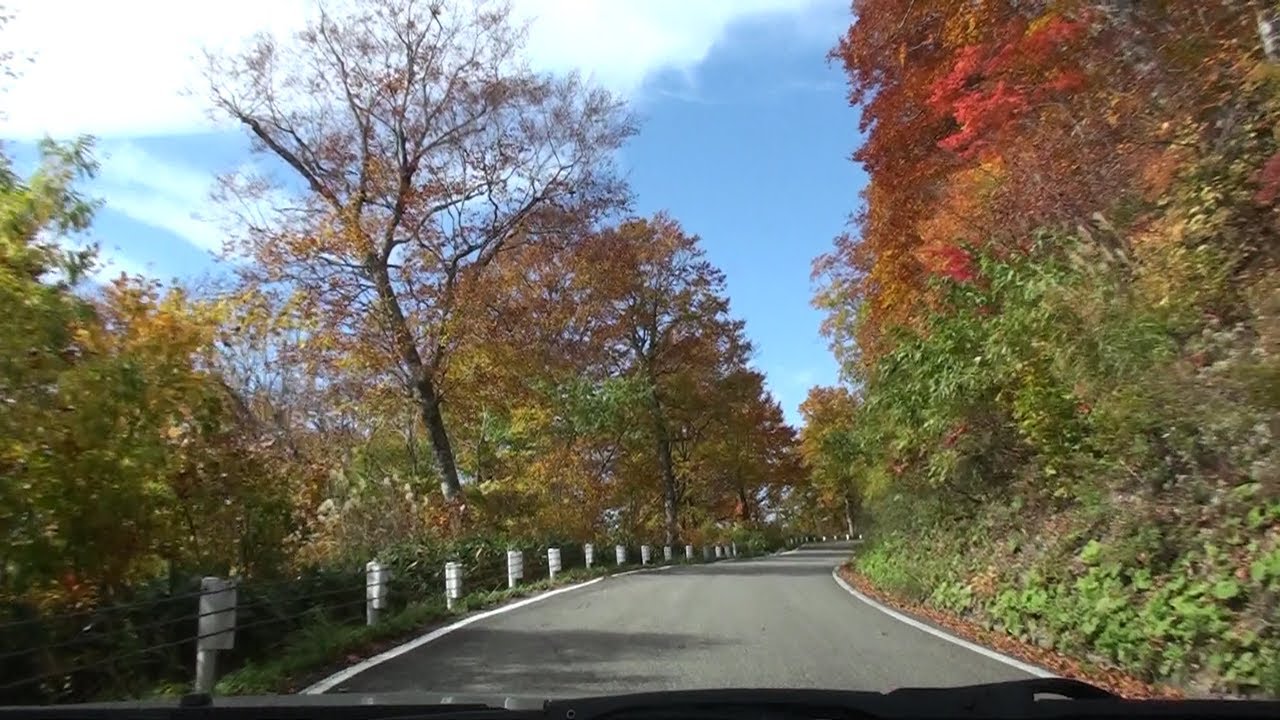 国道352号 福島県桧枝岐村の紅葉 車載動画