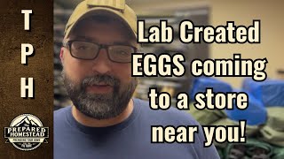 Lab created EGGS coming to a store near you!