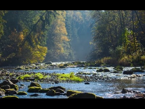 Sigulda Und Gauja Nationalpark Lettland Youtube