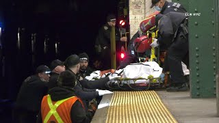 Person Fatally Struck by Train / W4th Manhattan NYC 1.16.23