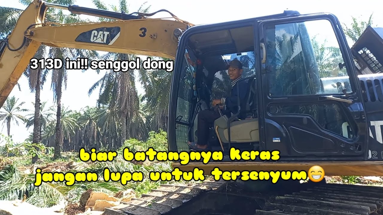 para Operator mengakui CAT adalah yang terbaik  #CAT313D  #replanting #IVOMAS