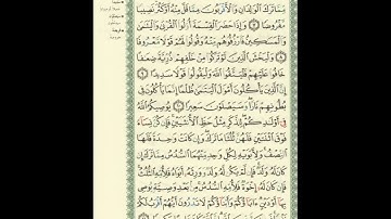 الورد اليومى.. سورة النساء من الاية 07 الى الاية 11 بصوت القارئ الشيخ ماهر المعيقلى