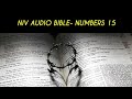 NUMBERS 15 NIV AUDIO BIBLE (with text)