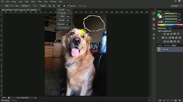 Photoshop Tutorial 2017 #28 How to use the freeform pen tool