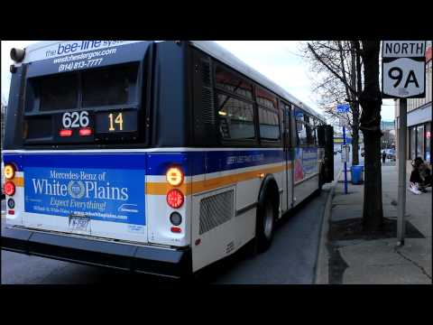 bee-line-bus:-small-action-at-elmsford-square-(saw-mill-river-rd-&-ny-119)