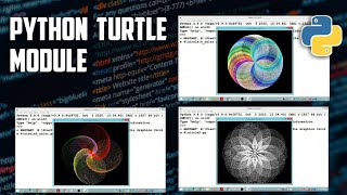#4 Python Turtle Module