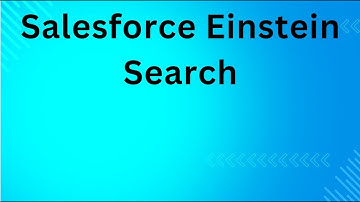 Salesforce Einstein Search