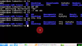 cp command in Linux Mint Content