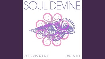 Soul Devine (Beach House Mix Radio Cut)