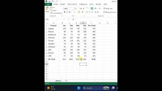 Excel Trick: One Keyboard Shortcut to SUM Everything
