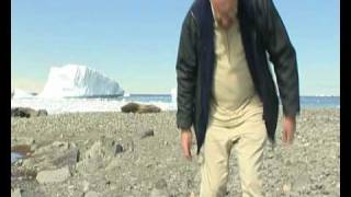 Antarctic species tallied up