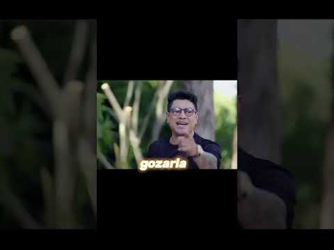 El reencuentro tropical