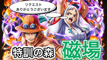 特訓の森磁場 Youtube