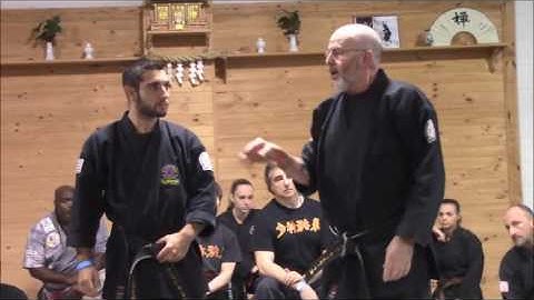 Masters Unite Soke Olshlager Kote Geashi