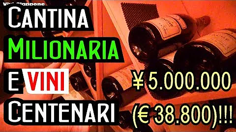 Quali sono le migliori cantinette per vino?