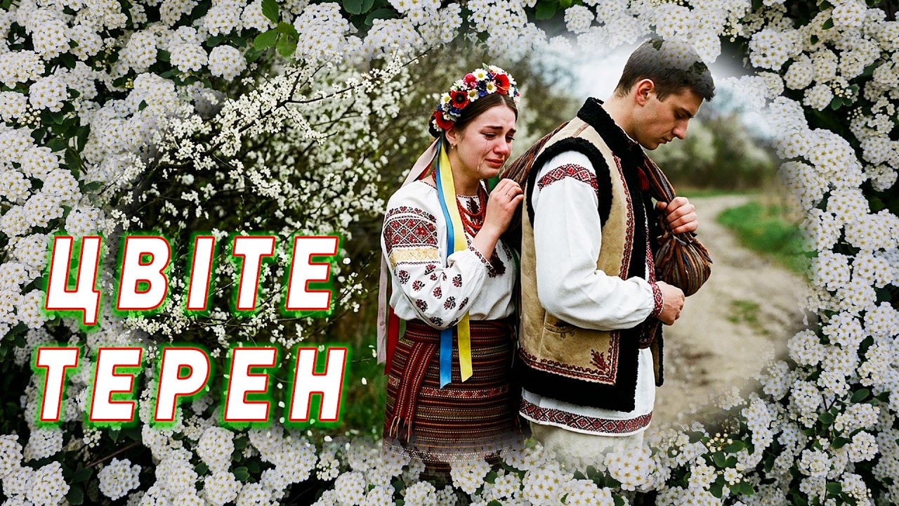 Цвіте Терен, Цвіте Терен 🌸 Українські народні пісні 🎶