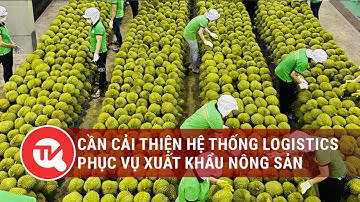 Cần cải thiện hệ thống logistics phục vụ xuất khẩu nông sản | Truyền hình Quốc hội Việt Nam