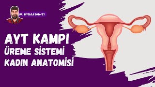Üreme Sistemi Kadın Üreme Organları Dr. Biyoloji Ayt Dönem 2026 - 2027