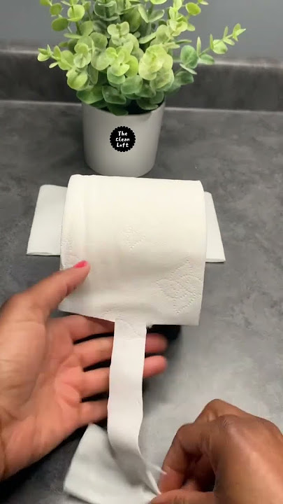 The Pixie Stamp!  Toilet paper origami, Toilet paper art, Toilet paper