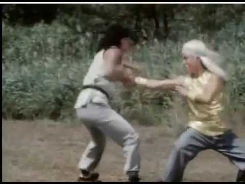 Secret of shaolin kung fu - Final fight scene