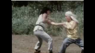 Secret of shaolin kung fu - Final fight scene