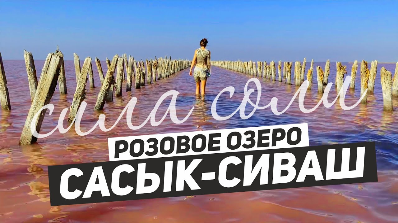 Сасык-Сиваш I СИЛА СОЛИ РОЗОВОГО ОЗЕРА I 