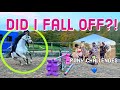 JUMPING MY FRIEND'S PONIES | Who will win? 🐄| Footluce Eventing