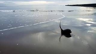Story wa Pantai
