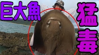 【11話】GT釣っても釣れなくても帰ります！~ 強力助っ人現る~