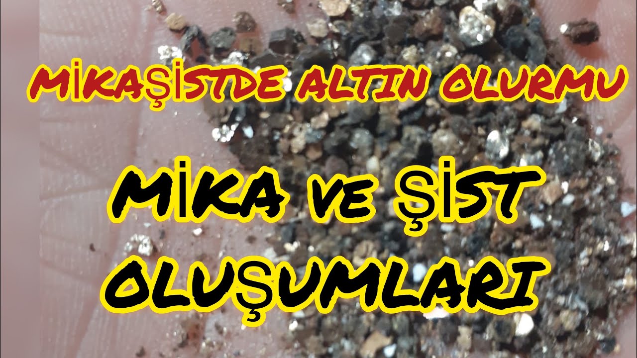 MİKAŞİST’de ALTIN VARMI’dır MİKAŞİST NEDİR?