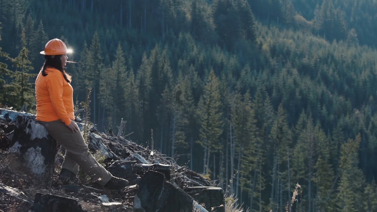 Weyerhaeuser Creating a Stronger Company YouTube