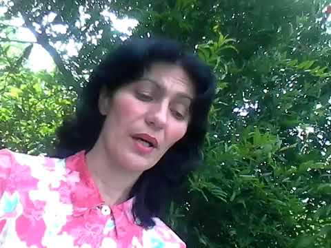 ნინო კემულარიას პოეზია  ლექსი დედა