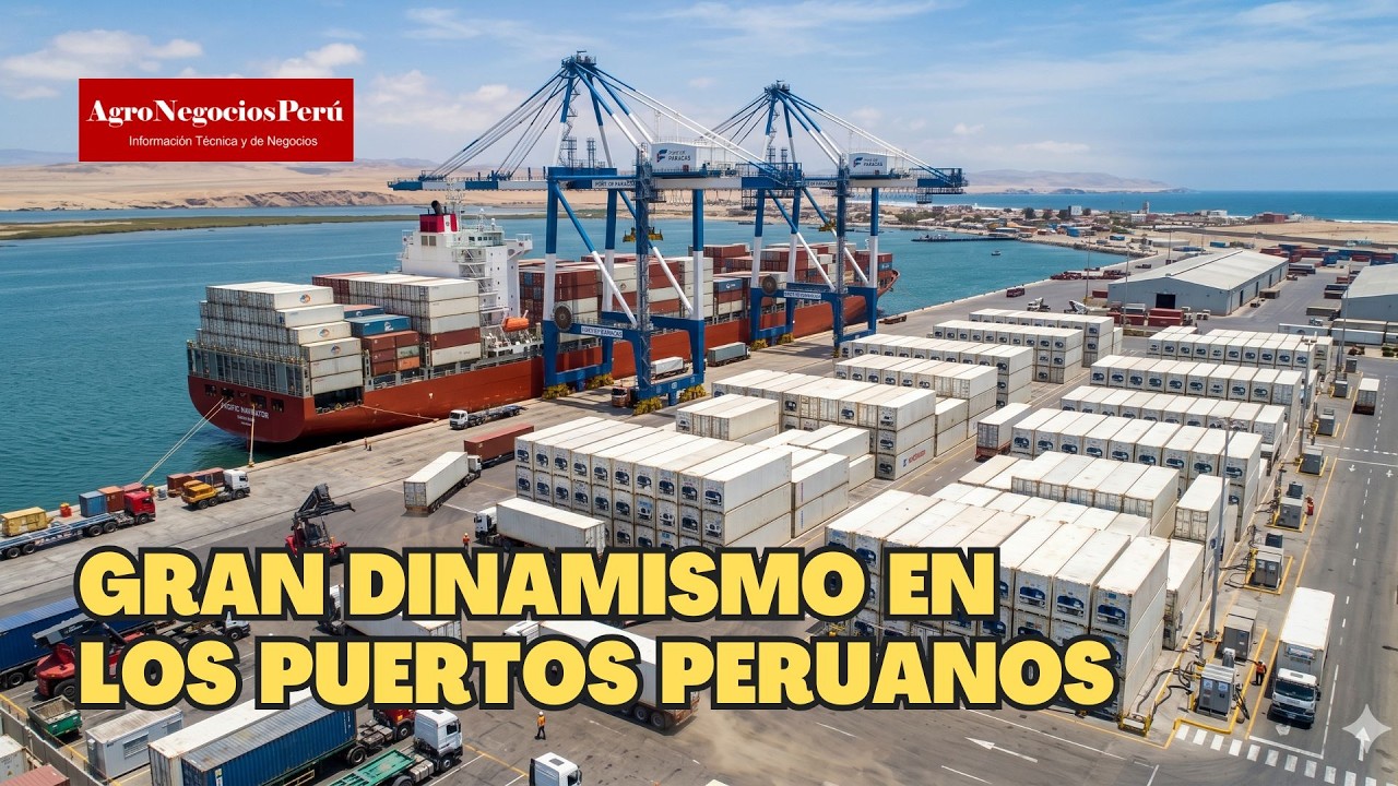 ¡Gran dinamismo en los puertos peruanos... y no solo en los más grandes!