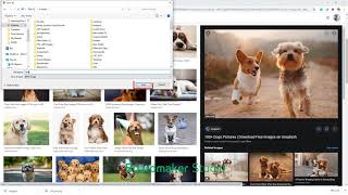 Transition from Boardmaker Studio: Add a Digital Image screenshot 3