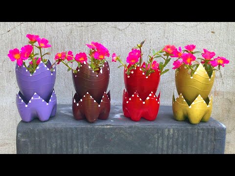 Video: Tenxhere Me Lule Nga Një Shishe Plastike