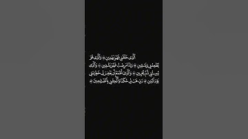 الشيخ #اسلام_صبحي #سورة_الشعراء
