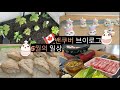 KOR] 밴쿠버 6월 일기 | 홈메이드 버거/생크림 스콘/유니콘 머랭 쿠키/베란다가든/집밥