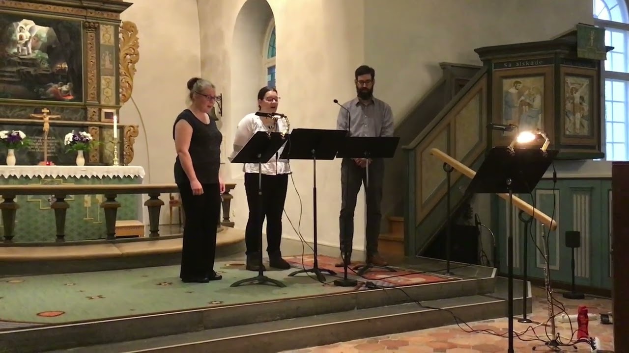 Vår Namnlösa Trio & Per Gustavsson- Modersvingen