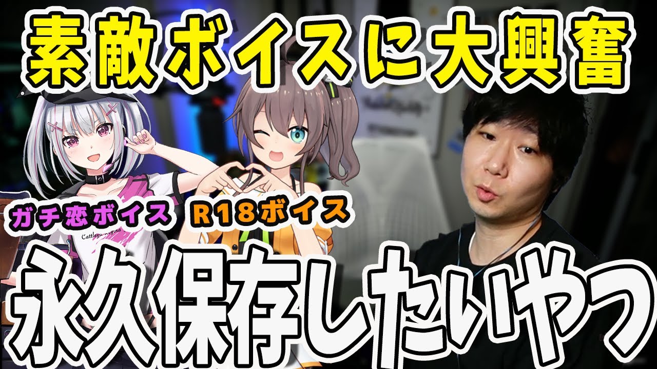 【面白まとめ】Vtuberさんに貰ったボイスにドンさん大興奮！なんとしても保存したい！【三人称/ドンピシャ/ぺちゃんこ/鉄塔/夏色まつり/空澄セナ/RUST/切り抜き】