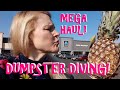 DUMPSTER DIVING AT MY FAVORITE ALDI! FRUGAL MOMMY'S MEGA HAUL!!