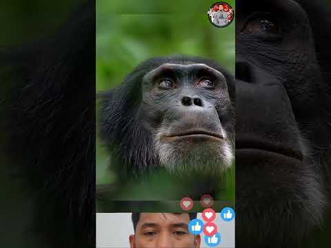 They re so smart it scares me