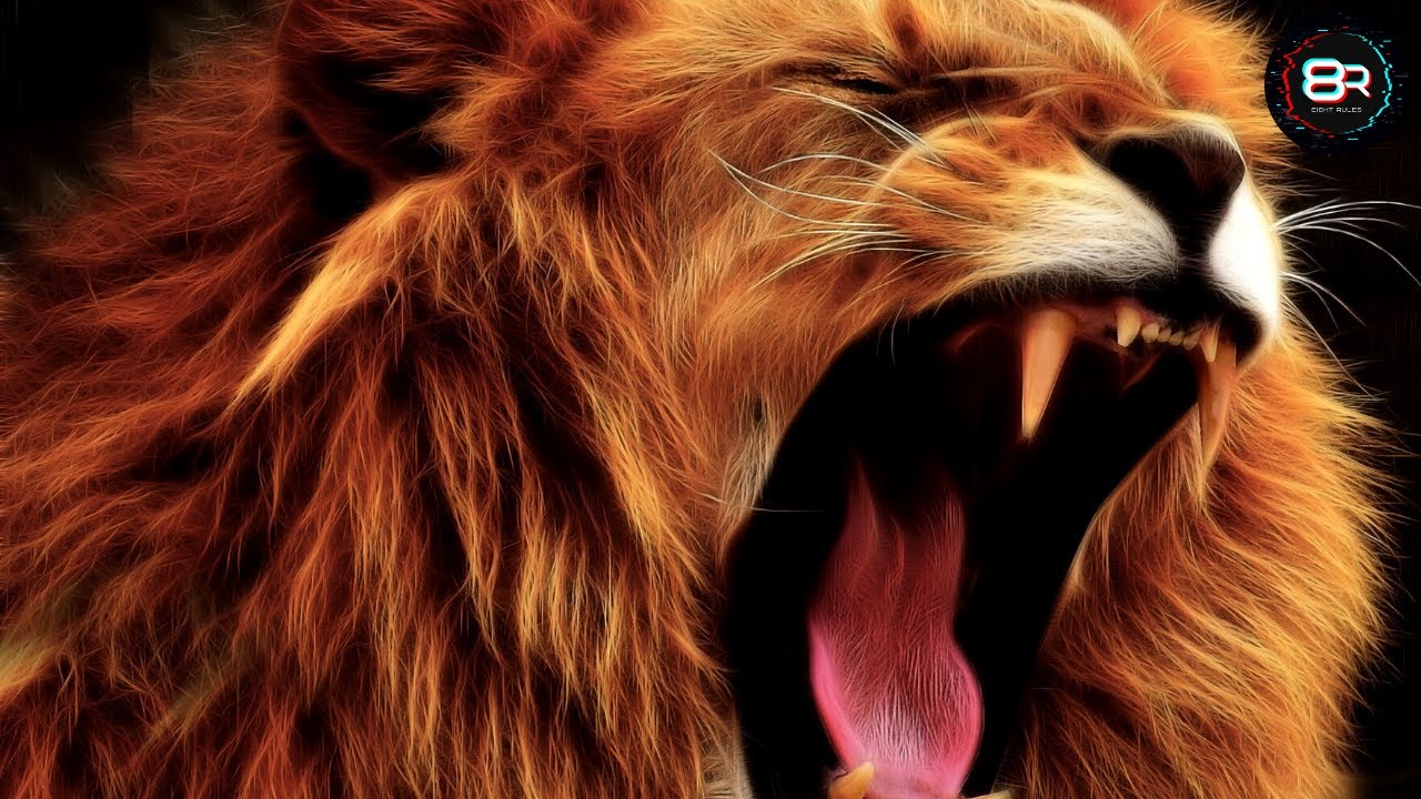 Strongest Animals in the World - Most Powerful Animals - Top 8 - YouTube