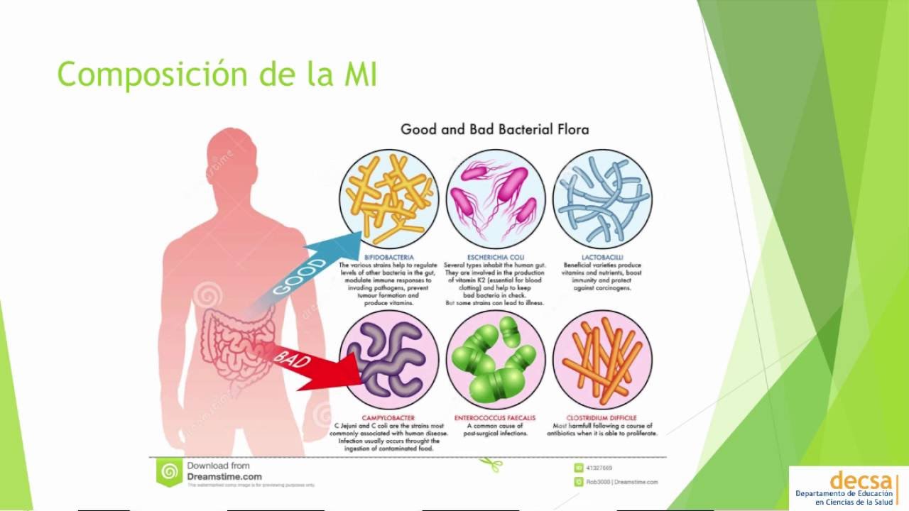 Flora mixta intestinal