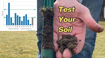 You NEED To Do A Soil Test