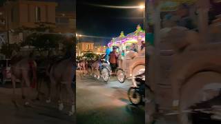 Beautiful Wedding Horse Baggi