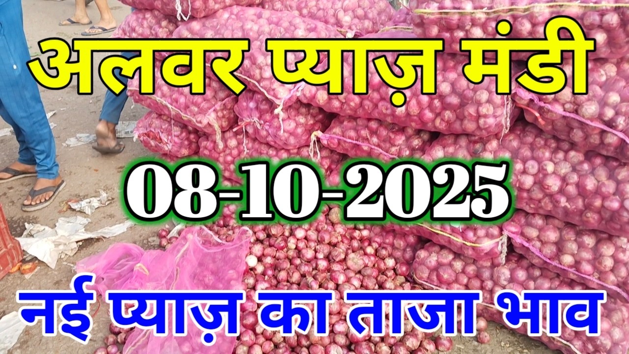 नई प्याज की शुरुआत हो गई अलवर प्याज मंडी राजस्थान Alwar pyaj mandi bhav ...