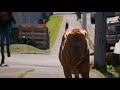 Turner &amp; Hooch Episode 10 Credits Music &#39;Running With The Wild Ones&quot;