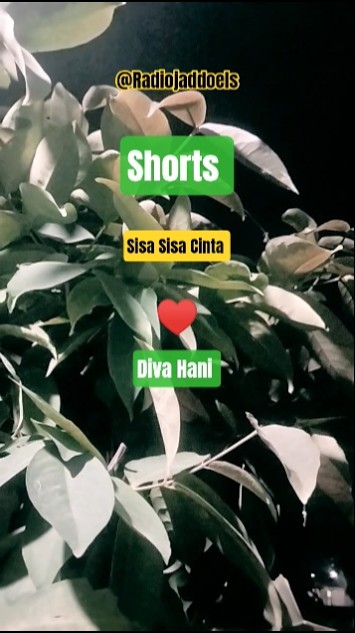 Sisa Sisa Cinta - Diva Hani #shorts#nostalgia  #dangdut #lawas @Radiojaddoels