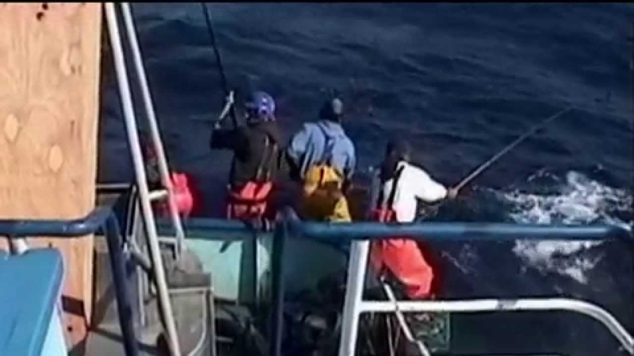 Marine Stewardship Council - YouTube